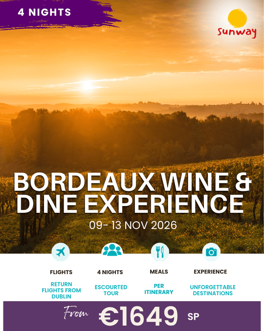 Bordeaux Wine And Dine Experience
